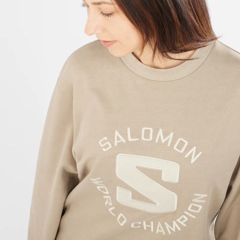 Sudaderas Salomon Outlife Logo Summer Mujer Beige | MX NPEA971